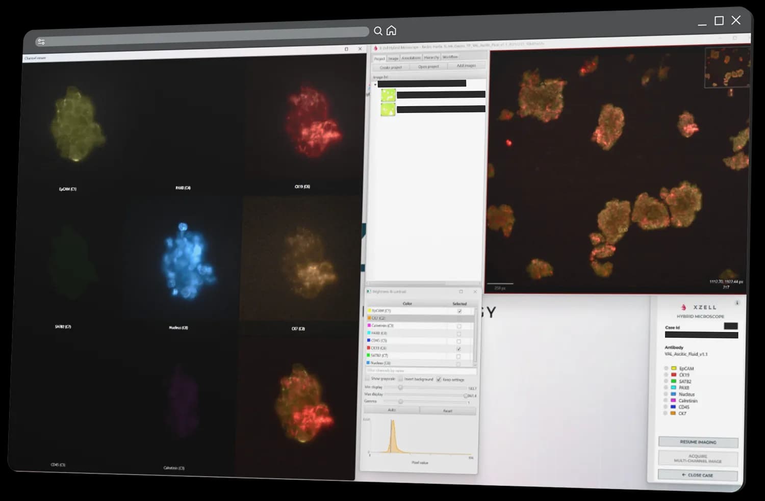 Multiplex fluorescence channels in Hybrid Microscope software