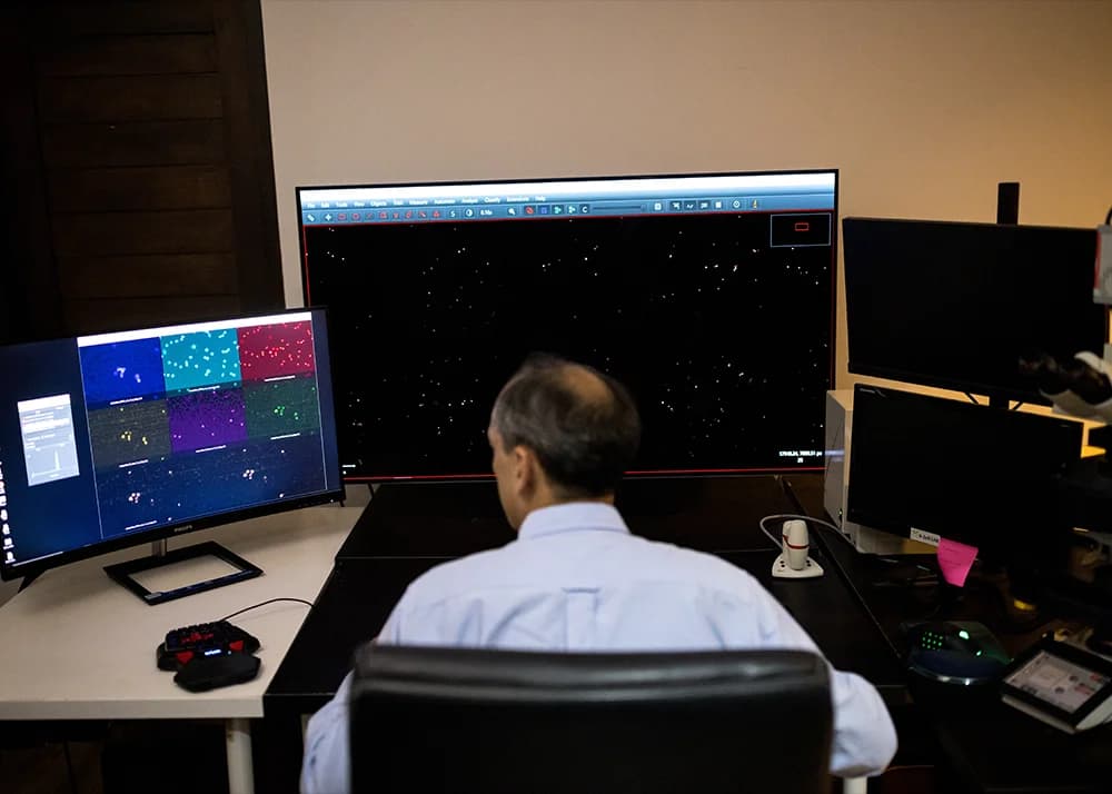 Multi-channel fluorescence image view for cytology interpretation