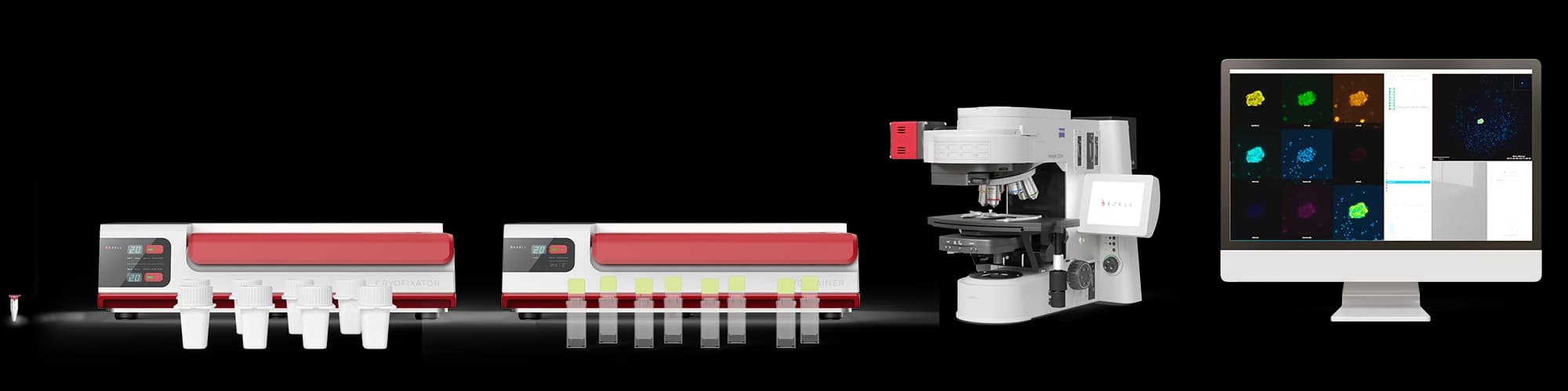 X-ZELL Next-Generation Cytology platform from sample preparation to digital imaging